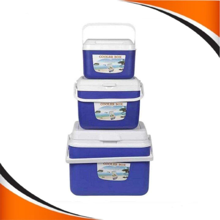 LGM SHOP Cooler Boxes, Outdoor Insulated Cooler Box Lunch Box for Camping  Picnic Beach Car