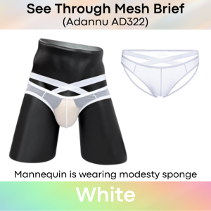Mens Brief: Nylon See Through Thin Mesh Brief with Front Waist Strap (AD322)