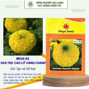 Hạt Giống Vạn Thọ F1 MEGA B2 – Vàng Chanh Cổ Cứng Bông To Cây Khỏe – Mega Seed