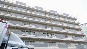 45 to 48 Size Men's Shoes: A Comprehensive Guide