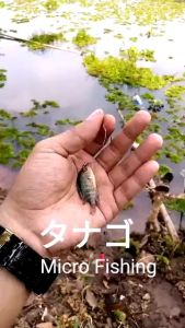 Kail pancing rakitan size 1/2/3 khusus ikan nila wader kecil
