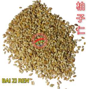 Bai Zi Ren Bo Zi Ren 600gram Semen Platycladi Biota Seed 柏子仁
