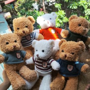 Gấu bông teddy thú nhồi bông mặc áo dễ thương