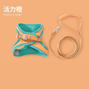 2026 Hot Sale [ Shipped from China ] pet leash for small dogs and cats suitable for all seasons harness and leash dog accessories dog rope B3