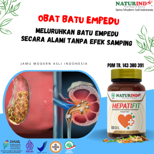 HEPATIFIT OBAT BATU EMPEDU HERBAL PENGHANCUR BATU EMPEDU SAKIT LIVER HEPATITIS A B C SAKIT KUNING