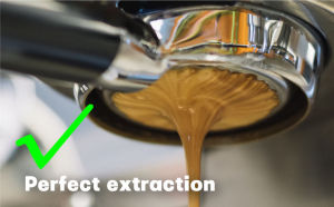 NEOUZA 51mm Bottomless PortafilterCompatible with Donlim/Duchess/ Giselle/Baumann/Petrus/Yabano/Lahome/xiaomi/Espresso Machines 304 Stainless Steel