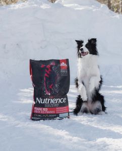 (Nguyên seal 45kg) Nutrience subzero chó vị Thịt bòThịt cừu Thịt heo cá