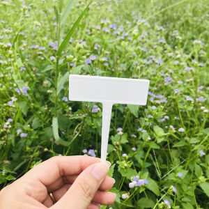 ป้ายแท็ก 6 cm ป้ายชื่อผัก ป้ายชื่อต้นไม้ ป้ายแท็กต้นไม้ ป้ายเขียนชื่อต้นไม้ ป้ายชื่อต้นไม้พลาสติก