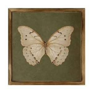 GRACE Creative Butterfly Specimen Photo Frame Personalized Vintage Picture Frame Home Decoration Simple Wooden Decorative Painting Table Setting