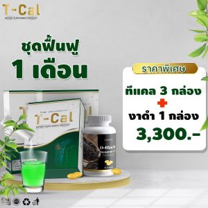 T-cal ทีแคล ชุดดูแลกระดูกและข้อ ผลิดูภัณฑ์ดูแลกระดูกและข้อ หมอนรองกระดูกทับเส้น ข้อเข่าเสื่อม ปวดหลังร้าวลงขา