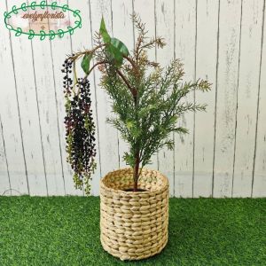 Pohon Hias Artificial Daun Cemara Buah Buni Latex Pot Dasar Hitam Cover Eceng Gondok Medium Pajangan Meja Cafe Meja Ruang Tamu Aesthetic