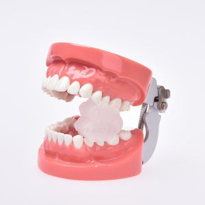 Pokemon Thiết Bị Khớp Cắn Hỗ Trợ Trong Miệng Nha Khoa   Miếng Đệm Khớp Cắn Mở   Nhỏ Gọn Tiện Lợi   Có Thể Nhiệt Độ Cao