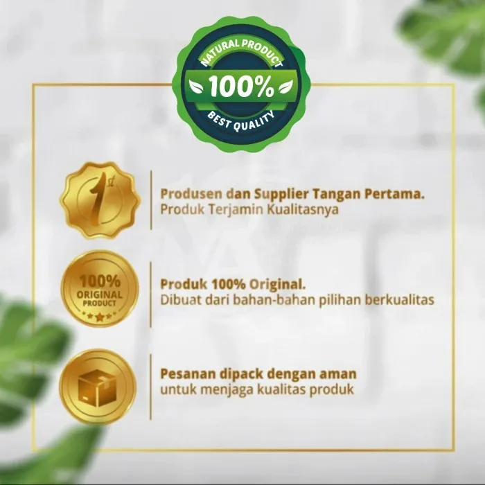 MAHKOTA%20DEWA%20KERING%20250gr%20-%20Phaleria%20Macrocarpa%20-%20MURNI%20-%20JSR%20-%20Image%203