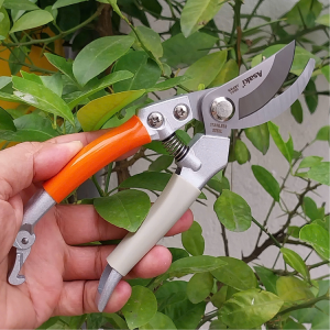 Kéo cắt tỉa cành cây cao cấp Asaki hàng nhập từ Japan thép SK5 không gỉ