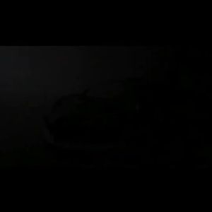 รุ่น Bburago 1: 18 Burago Divo จําลองรถ Die-Casting รถเครื่องประดับคอลเลกชันของขวัญเด็กของขวัญ