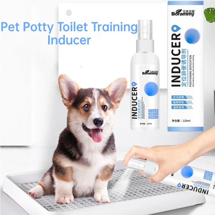 Pet Dog Potty Toilet Training Inducer Tool Pee Urinary Positioning