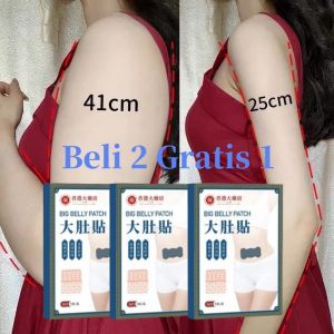 Koyo Pelangsing Mengecilkan Perut Buncit Wanita Penurun Berat Badan Penghilang Lemak Perut Penghilang Double Chin Pembakaran Lemak Patch Pelangsing Menurunkan Berat Pelangsing Badan Cepat