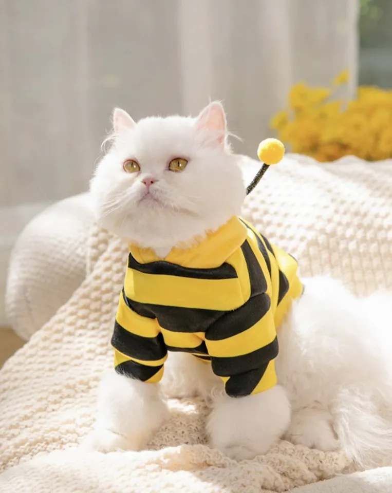 CHEEPET Cute Bee Cat Clothes for Spring/Summer Lightweight