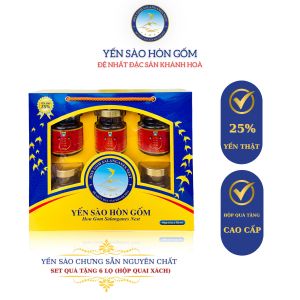 [Set QT 6 Hũ] Tổ Yến Chưng Đông Trùng Hạ Thảo (Ăn Kiêng) - Yến Sào Hòn Gốm Chính Hiệu Khánh Hòa  - HGK NEST