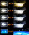 1 Pair LED Car Headlight 12000LM Auto LED Headlight H4 H1 H3 H7 H8 H9 H11 H16 9005 HB3 9006 HB4 3000K 4300K 6000K 8000K 15000K. 