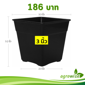 กระถาง กระถางแคคตัส กระถางสี่เหลี่ยม ขนาด 3.3 นิ้ว สีดำ 100 ใบ ชิ้น อัน