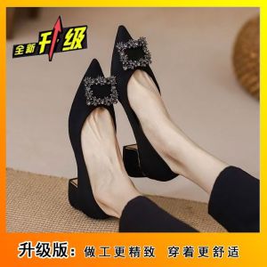 [Free Shipping] Shallow-Toe Pointed-Toe Work Shoes Mid-Heel Pumps New Autumn Collection Rhinestone Embellished Chunky Heel WomenS Soft-Soled Black High Heels