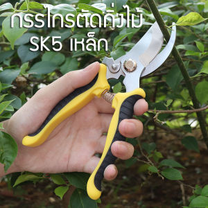 กรรไกรตัดกิ่งไม้ กรรไกรตัดกิ่ง กรรไกรแต่งกิ่ง กรรไกรบอนไซ กรรไกรสแตนเลส กรรไกรตัดต้นไม้ กรรไกรตอนกิ่ง กรรไกรทำสวน กรรไกรเอนกประสงค์