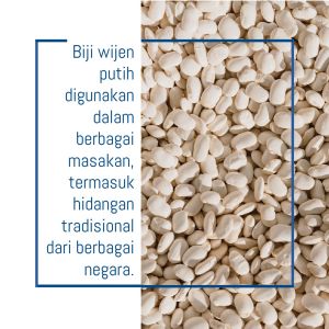 Biji Wijen Putih 100 gram Berkualitas Biji Wijen Putih untuk Kue dan Masakan Wijen Putih Siap Pakai Wijen Tanpa Pengawet Wijen untuk Kue dan Roti Biji Wijen untuk Salad dan Olahan Sayuran  Wijen dalam Kemasan Sachet  Biji Wijen untuk Rempah dan Bumbu