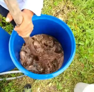 100% Organic น้ำหมักปลาชีวภาพสูตร4สหาย 😲💥ปลา+ไข่+นม+น้ำมะพร้าว💥😲 เร่งพืชโตไว