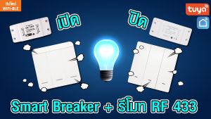 ตุ๊ยา Smart Breaker WiFi RF433 10A รุ่น SBW-RF เปิดปิดผ่านมือถือแอพ Smart Life / Alexa Google Siri / สีของที่เปิดเผย 4 ขนาดมีการวางแผน