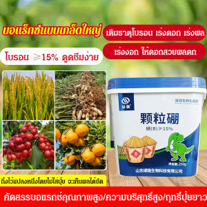 Optimize Crop Growth with Boron Fertilizer for Field Crops and Vegetables