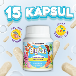 Dewarangga Vitamin Kucing BIG CAT untuk Penggemuk dan Penambah Nafsu Makan Kucing