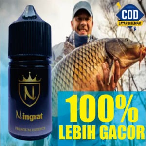 Essen pancing Ningrat isi 30ml paling ampuh pasti neter