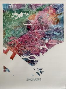 Blue and White city map Singapore Map Print City Street Road Map Art Poster