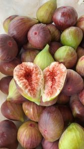 buah tin fresh 150gram budidaya ciwidey bandung