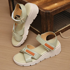 [Free Shipping] Summer 2025 New Collection: Women’S Thick-Soled Casual Lightweight And Versatile Sandals With Velcro Straps Available In Large Sizes