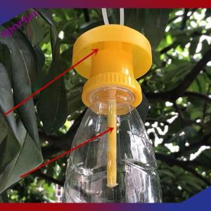 Sporter Trái cây Fly bẫy Killer nhựa drosophila bẫy Fly Catcher Pest kiểm soát côn trùng