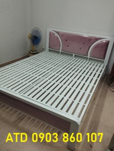 Giường ngủ sắt hộp người lớn 2-3 người nằm thoải mái chắc chắn mẫu đẹp