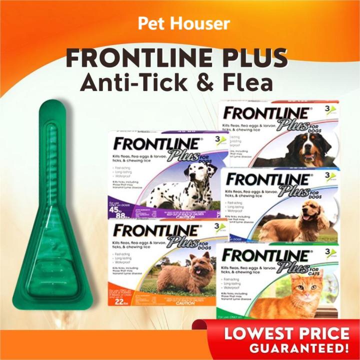 1 Tube Frontline Plus Anti Ticks and Fleas Drop for Dogs and Cats Pet