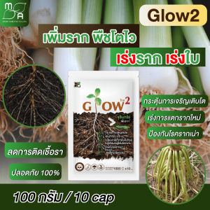 จุลินทรีย์เร่งราก ยาเร่งราก โกลว2 Glow2 เร่งใบ กระตุ้นการแตกใบอ่อน ตัวช่วยให้พืชตั้งตัวไวและแตกใบดี (100กรัม)