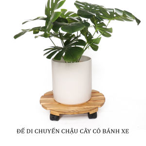 Đế Để Chậu Cây Có Bánh Xe - Chậu Hoa bằng gỗ Tự Nhiên - Đường Kính 30cm Tải trọng Max 80kg - Đế để chậu cây kệ giá đỡ chậu hoa cây cảnh Goodwood
