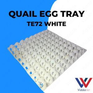 Tray Quail Egg White 24slot storage organizer for animals 24slot White tray eggs for animals