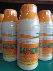 INSEKTISIDA PUNTO 200 SL 350ML