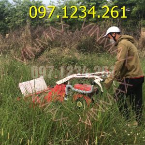 Máy cắt cỏ đẩy tay có bánh xe CB-1000 tại Cà Mau