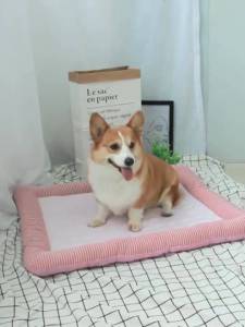 Ice Cooling Dog Bed Pet Cat Cooling Mat Ice Pad Dog Sleeping Mats for Dogs Cats Pet Kennel Top Quality