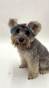 Breathable Dog Hat Baseball Hat Costume Birthday Summer Sunbonnet Dog Head Cover Adjustable Hat for Sports