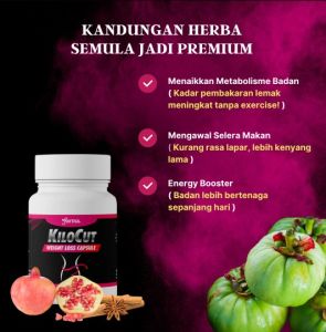 Fitaz kilocut Weight Loss Secret / kawal selera makan dengan kapsul herba kilocut