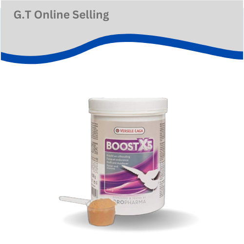 Versele Laga Boost X5 500gr - Integratore Energético Per Uccelli E Animali Domestici - Foto 12