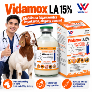 Viddavet Vidamox LA 15% amoxicillin trihydrate Long Acting amoxicillin for adults amoxicillin for cats