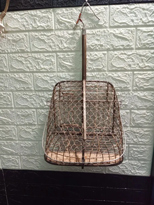 L%E1%BB%93ng%20b%E1%BA%ABy%20chim%20C%C3%A2y%20l%E1%BB%A5i%20-%20Image%205